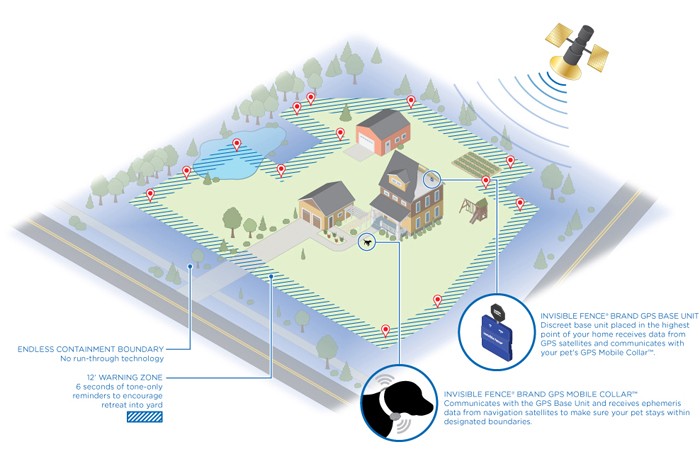 Wireless Dog Fence Pros and Cons